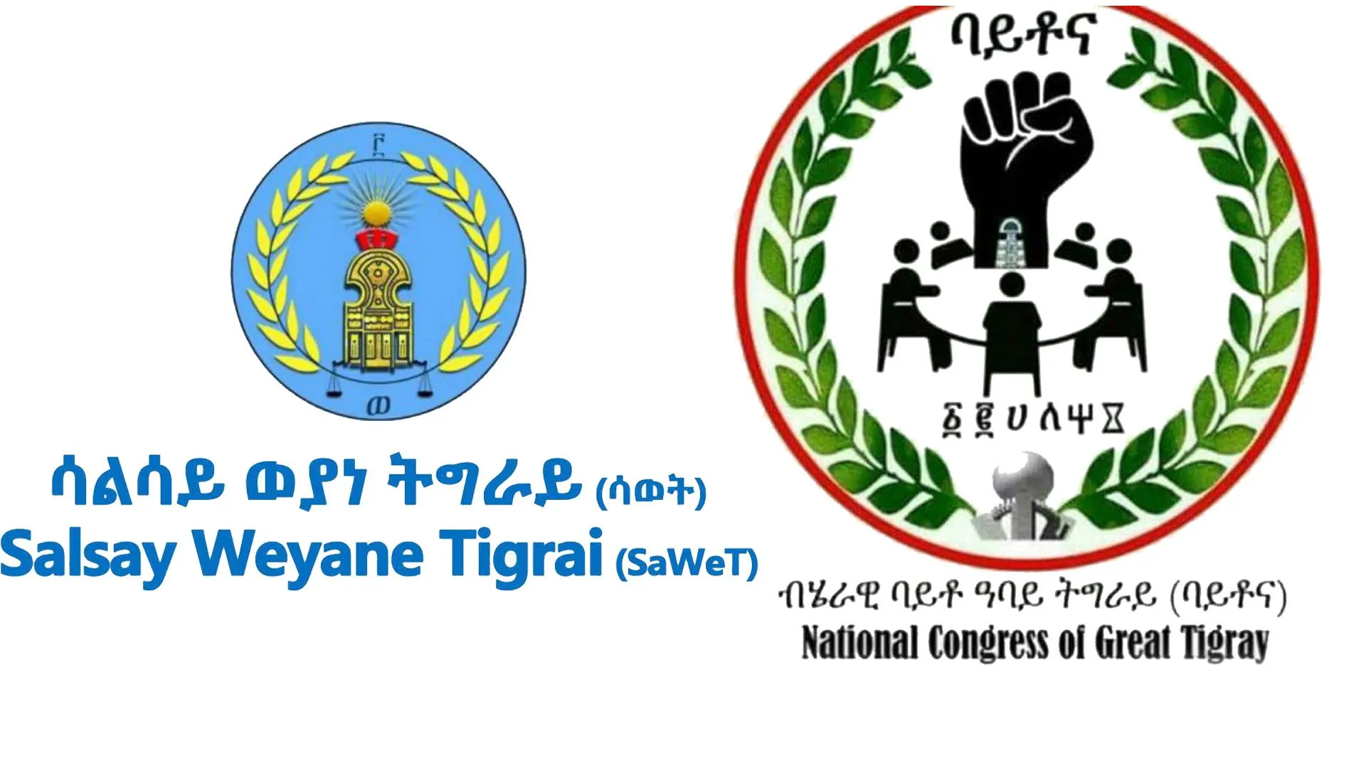 ወታደራዊ አመራሮች ከፖለቲካዊ ጉዳይ ላይ እጃቸውን ማንሳት አለባቸው ሲሉ በትግራይ ክልል የሚንቀሰቀሱ ፓርቲዎች አሳሰቡ