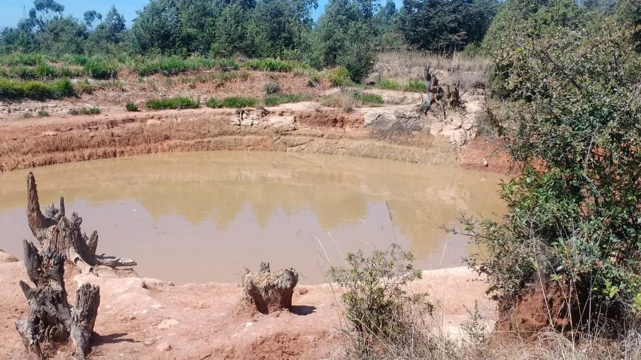 በአዲስ አበባ ውሃ በአቆረ ጉድጓድ ውስጥ ዋና ለመዋኘት የገቡ የሦስት ታዳጊዎች ሕይወት አለፈ