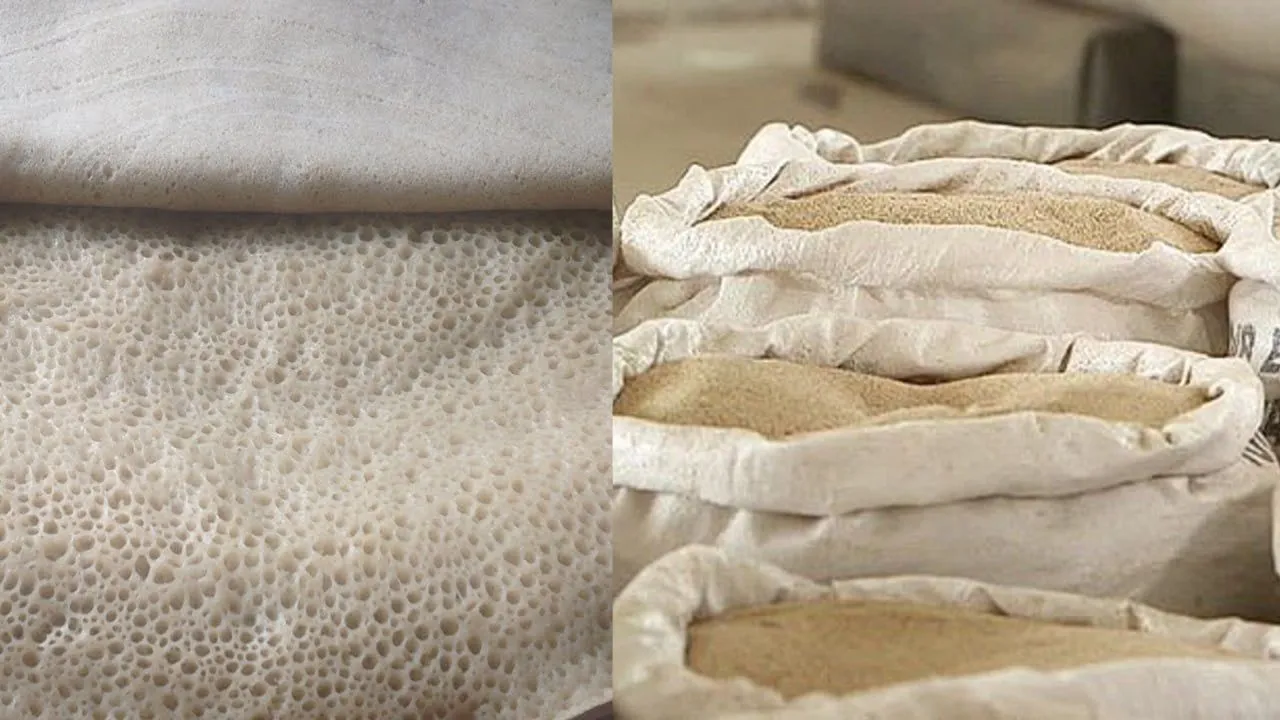 የጤፍ እና የእንጀራ ደረጃ ወደ አፍሪካ የደረጃ አውጭ ድርጅት መላኩ እና ስምምነት ላይ መደረሱ ተገለጸ