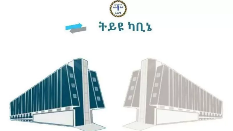 የመንግሥት ሥራን ለመከታተል ትይዩ ካቢኔ መዋቀሩ ምቹ መደላደልን ፈጥሯል ተባለ