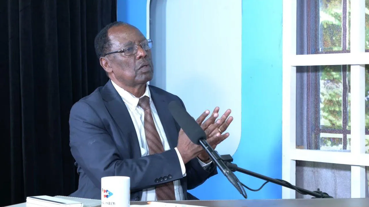 ኦነግ የሽግግር መንግሥት ምስረታ ምክረ-ሀሳቡን እንደማይቀበለው የፓርቲው ምክትል ሊቀመንበር ቀጀላ መርዳሳ ገለጹ